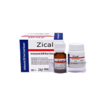 Prevest Zical Root Canal Sealer