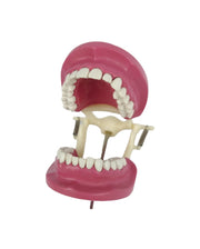 Banna Cast Articulator