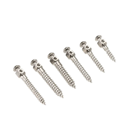 Mini Screw - Titanium