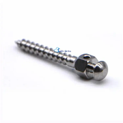 Mini Screw - Titanium