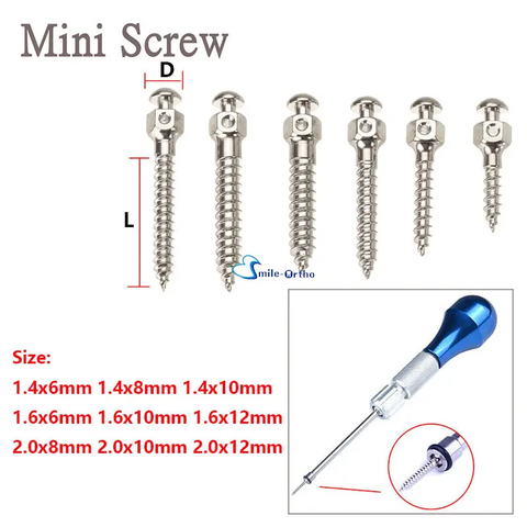 Mini Screw - StSt